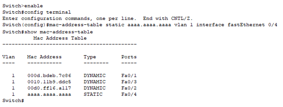 mac address static