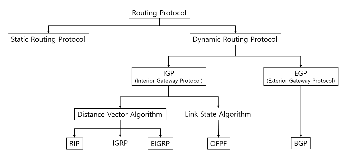 Routing Protocol